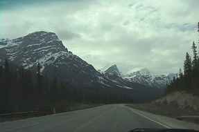 banffNP1